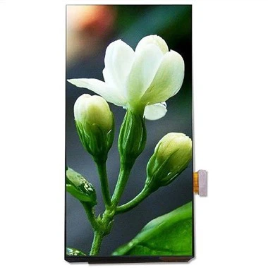 Display LCD ta '6.01 pulzier