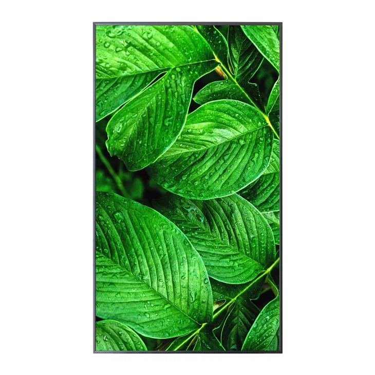 43inch 4K UHD Ultra-Thin LCD Display Screen Signage Diġitali Custom Disponibbli